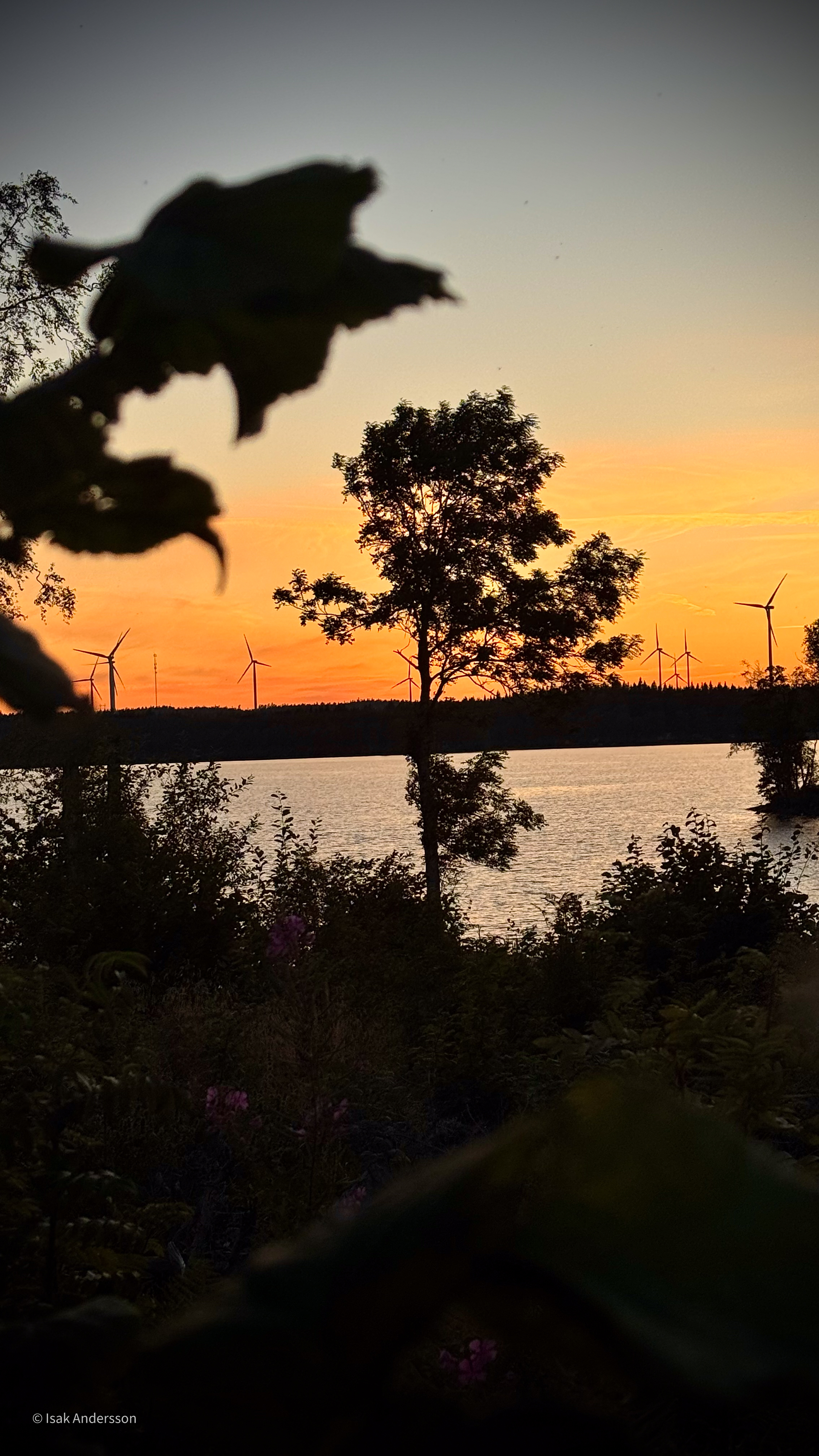 Natur och kultur